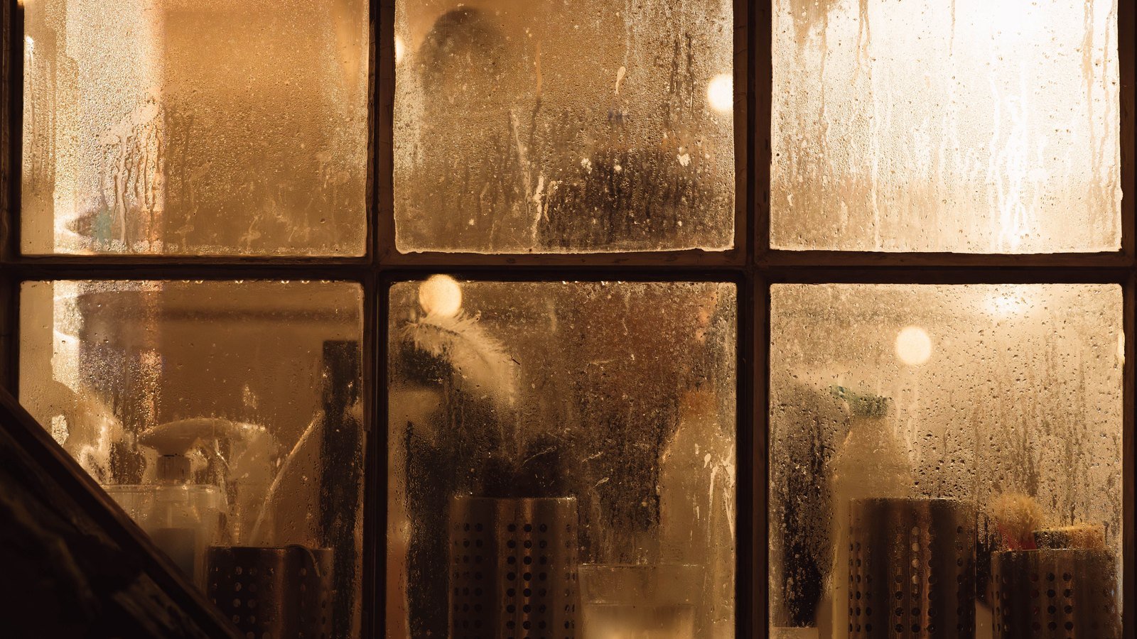 Condensation visible on a window overlooking a warm residential interior.